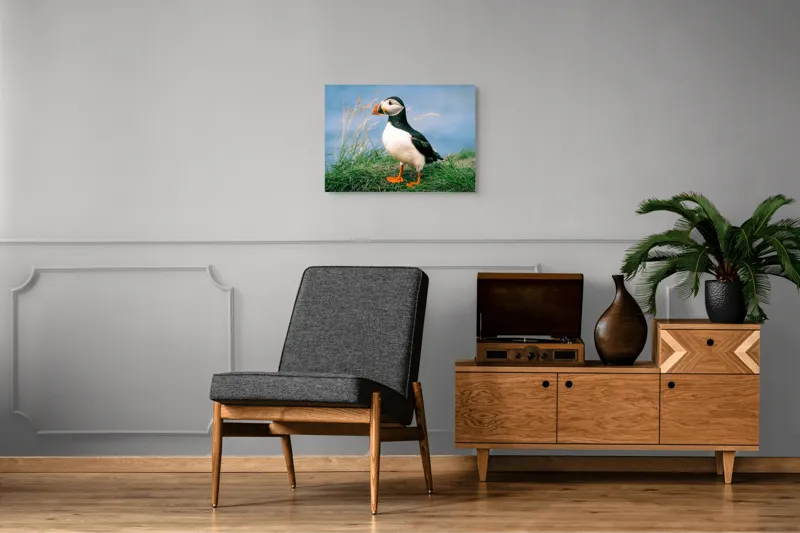 Tablou Canvas, "Puffin pe stâncile verzi ale mării", Puffin, Iarbă, Ocean, Cioc, Picioare, Cer Albastru, Natură, Penaj, 70 x 50 cm – poza 4
