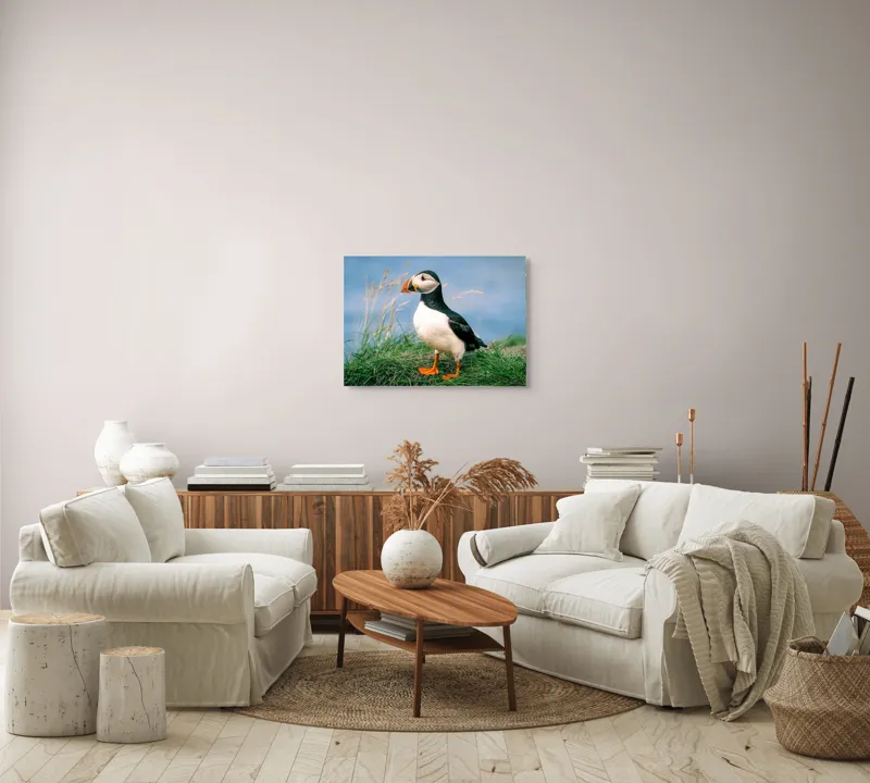 Tablou Canvas, "Puffin pe stâncile verzi ale mării", Puffin, Iarbă, Ocean, Cioc, Picioare, Cer Albastru, Natură, Penaj, 70 x 50 cm – poza 6