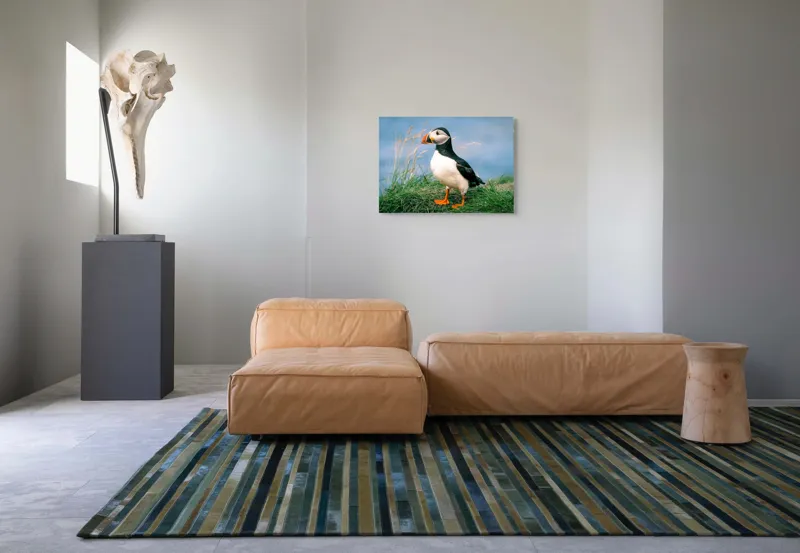 Tablou Canvas, "Puffin pe stâncile verzi ale mării", Puffin, Iarbă, Ocean, Cioc, Picioare, Cer Albastru, Natură, Penaj, 70 x 50 cm – poza 8