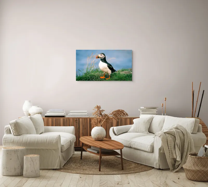 Tablou Canvas, "Puffin pe stâncile verzi ale mării", Puffin, Iarbă, Ocean, Cioc, Picioare, Cer Albastru, Natură, Penaj, 90 x 50 cm – poza 4