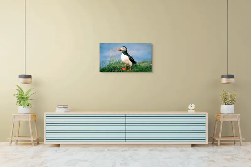 Tablou Canvas, "Puffin pe stâncile verzi ale mării", Puffin, Iarbă, Ocean, Cioc, Picioare, Cer Albastru, Natură, Penaj, 90 x 50 cm – poza 5