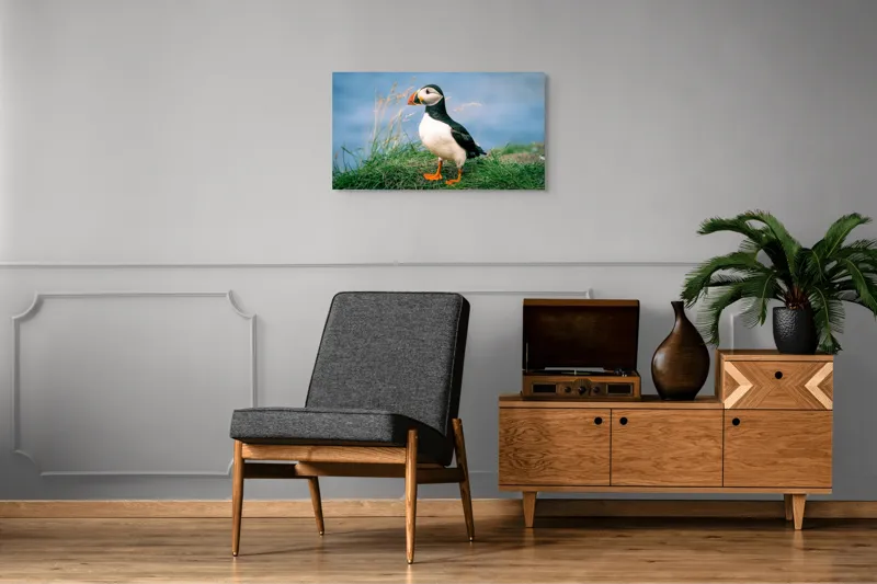 Tablou Canvas, "Puffin pe stâncile verzi ale mării", Puffin, Iarbă, Ocean, Cioc, Picioare, Cer Albastru, Natură, Penaj, 90 x 50 cm – poza 6
