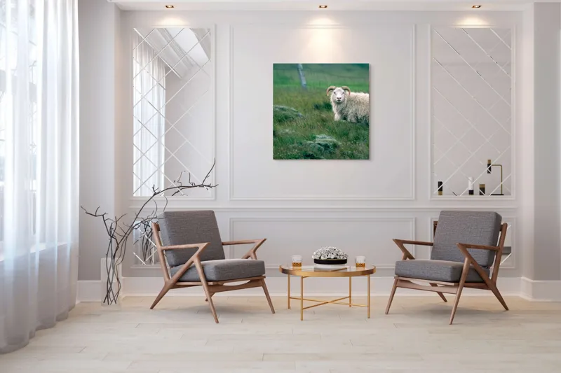 Tablou Canvas, "Berbecul singuratic pe câmp verde", Oaie, Câmp, Verdeață, Gard, Corn, Blană, Pășune, Nori, Natural, Peisaj, 100 x 100 cm – poza 7