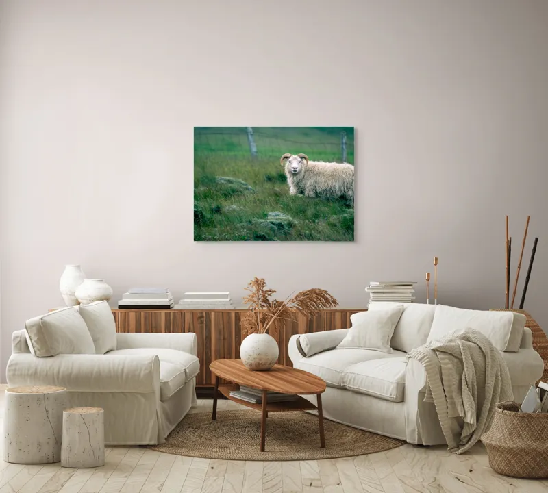 Tablou Canvas, "Berbecul singuratic pe câmp verde", Oaie, Câmp, Verdeață, Gard, Corn, Blană, Pășune, Nori, Natural, Peisaj, 100 x 70 cm – poza 3