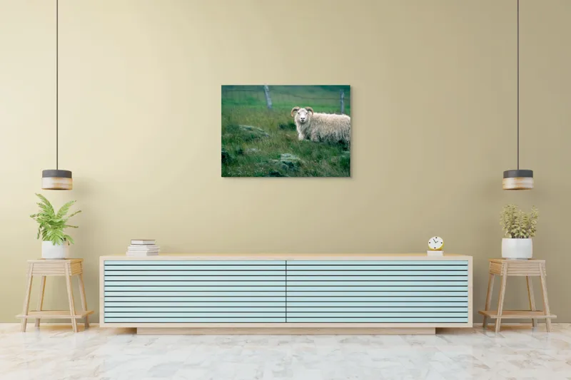 Tablou Canvas, "Berbecul singuratic pe câmp verde", Oaie, Câmp, Verdeață, Gard, Corn, Blană, Pășune, Nori, Natural, Peisaj, 100 x 70 cm – poza 4