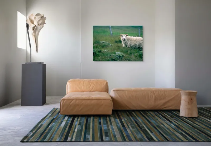Tablou Canvas, "Berbecul singuratic pe câmp verde", Oaie, Câmp, Verdeață, Gard, Corn, Blană, Pășune, Nori, Natural, Peisaj, 100 x 70 cm – poza 7