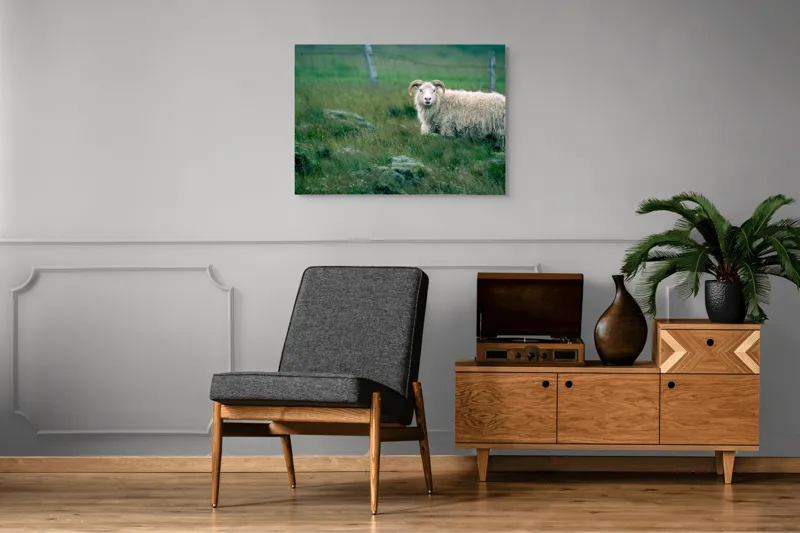 Tablou Canvas, "Berbecul singuratic pe câmp verde", Oaie, Câmp, Verdeață, Gard, Corn, Blană, Pășune, Nori, Natural, Peisaj, 100 x 70 cm – poza 8