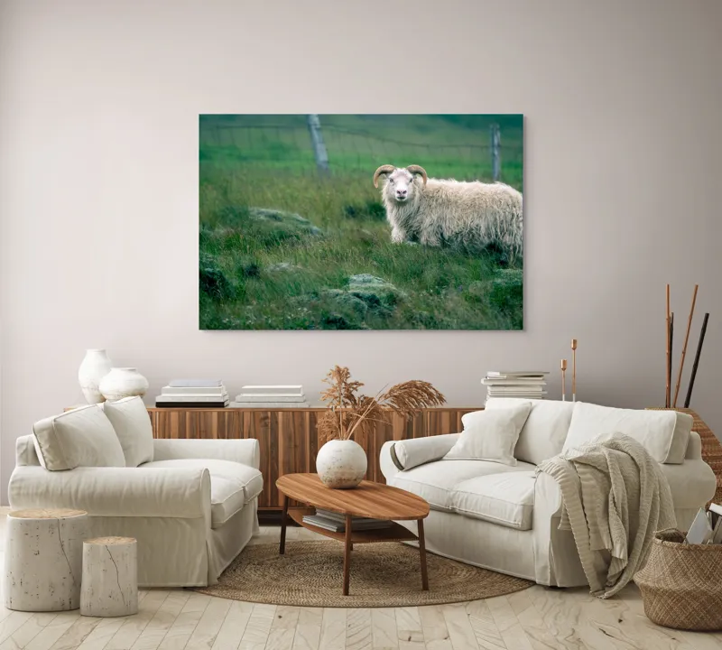 Tablou Canvas, "Berbecul singuratic pe câmp verde", Oaie, Câmp, Verdeață, Gard, Corn, Blană, Pășune, Nori, Natural, Peisaj, 150 x 100 cm – poza 3