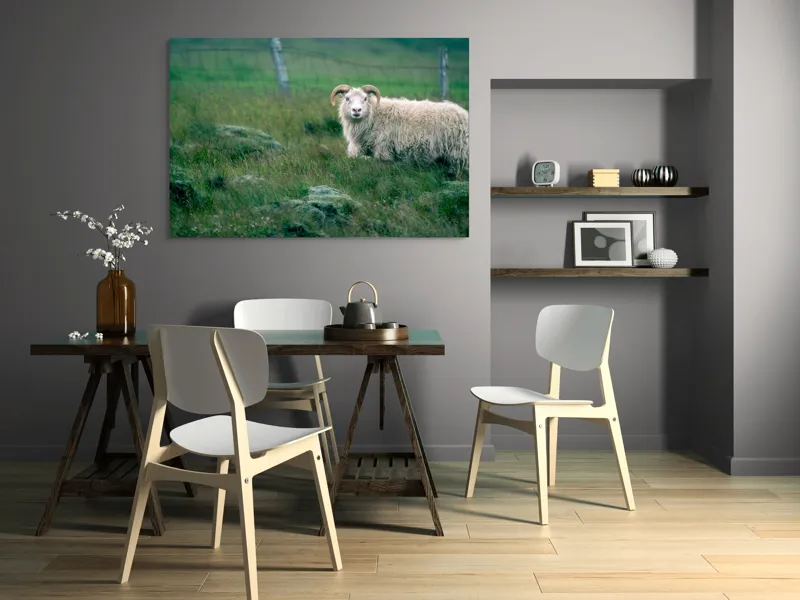 Tablou Canvas, "Berbecul singuratic pe câmp verde", Oaie, Câmp, Verdeață, Gard, Corn, Blană, Pășune, Nori, Natural, Peisaj, 150 x 100 cm – poza 5