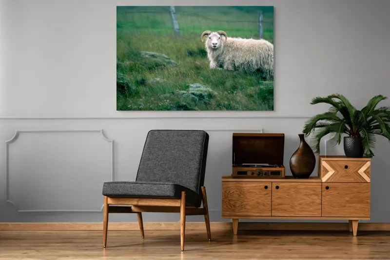 Tablou Canvas, "Berbecul singuratic pe câmp verde", Oaie, Câmp, Verdeață, Gard, Corn, Blană, Pășune, Nori, Natural, Peisaj, 150 x 100 cm – poza 8