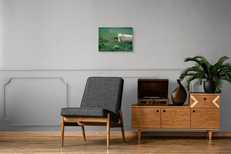 Tablou Canvas, "Berbecul singuratic pe câmp verde", Oaie, Câmp, Verdeață, Gard, Corn, Blană, Pășune, Nori, Natural, Peisaj, 54 x 39 cm – poza 7