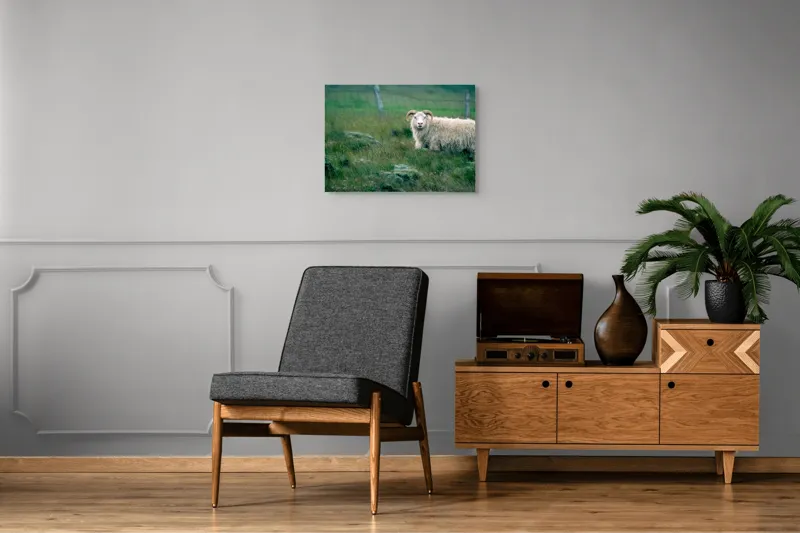 Tablou Canvas, "Berbecul singuratic pe câmp verde", Oaie, Câmp, Verdeață, Gard, Corn, Blană, Pășune, Nori, Natural, Peisaj, 70 x 50 cm – poza 4