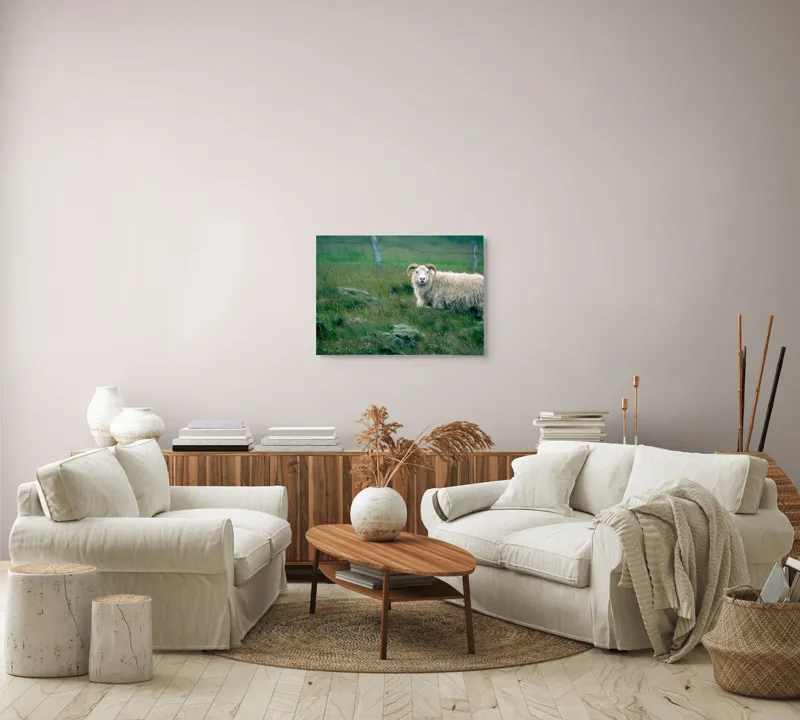 Tablou Canvas, "Berbecul singuratic pe câmp verde", Oaie, Câmp, Verdeață, Gard, Corn, Blană, Pășune, Nori, Natural, Peisaj, 70 x 50 cm – poza 6