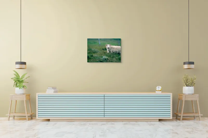 Tablou Canvas, "Berbecul singuratic pe câmp verde", Oaie, Câmp, Verdeață, Gard, Corn, Blană, Pășune, Nori, Natural, Peisaj, 70 x 50 cm – poza 7