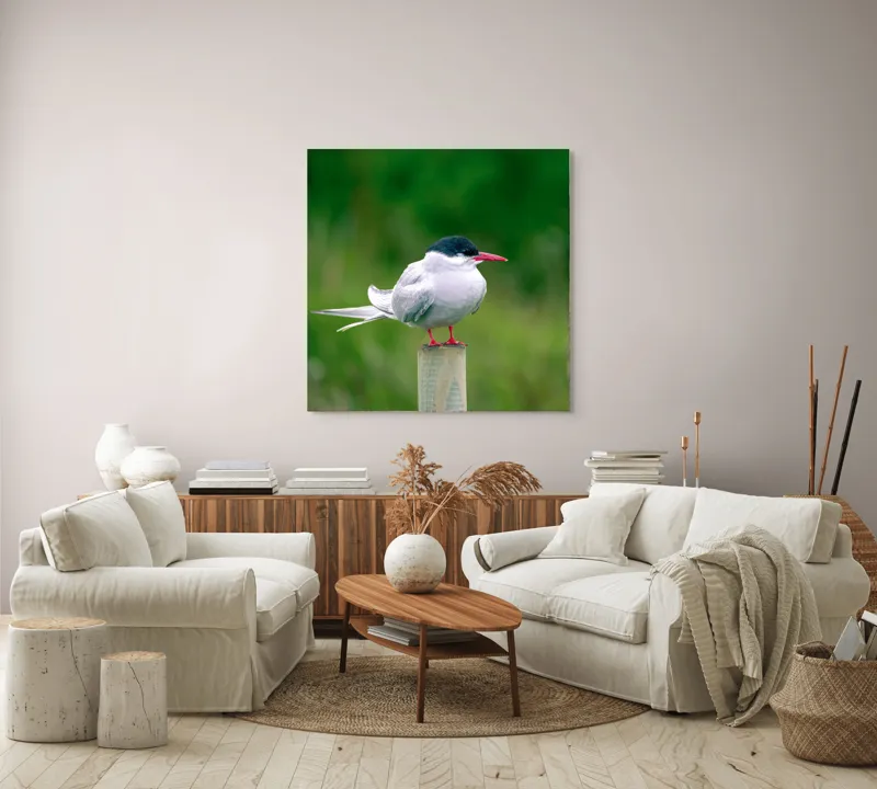 Tablou Canvas, "Pescărușul pe stâlp în natură verde", Pasăre, Eleganță, Penaj, Natură, Libertate, Serenitate, 100 x 100 cm – poza 3