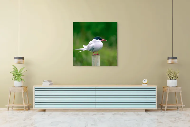 Tablou Canvas, "Pescărușul pe stâlp în natură verde", Pasăre, Eleganță, Penaj, Natură, Libertate, Serenitate, 100 x 100 cm – poza 5