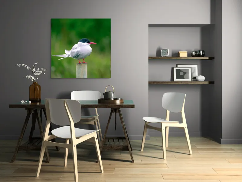 Tablou Canvas, "Pescărușul pe stâlp în natură verde", Pasăre, Eleganță, Penaj, Natură, Libertate, Serenitate, 100 x 100 cm – poza 6