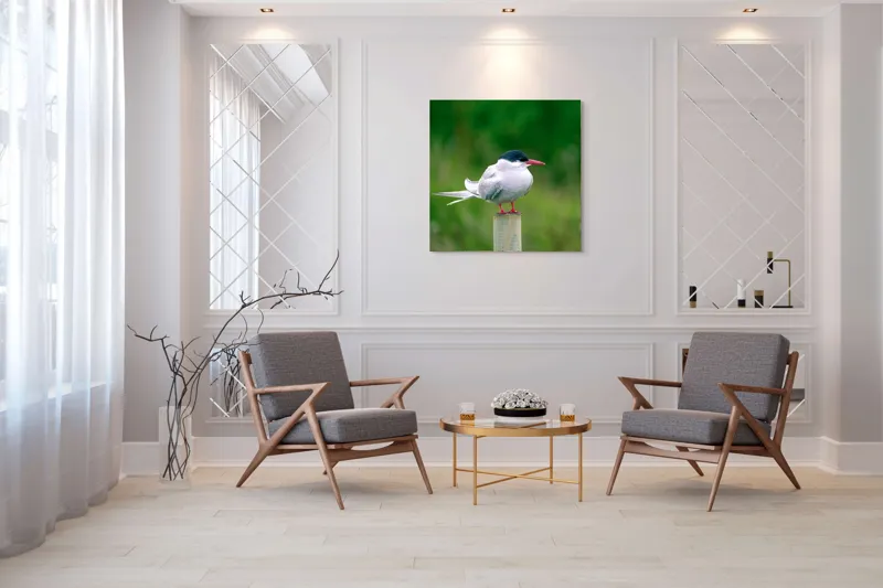 Tablou Canvas, "Pescărușul pe stâlp în natură verde", Pasăre, Eleganță, Penaj, Natură, Libertate, Serenitate, 100 x 100 cm – poza 7