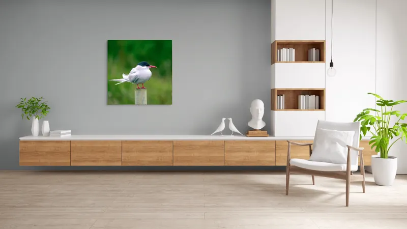 Tablou Canvas, "Pescărușul pe stâlp în natură verde", Pasăre, Eleganță, Penaj, Natură, Libertate, Serenitate, 100 x 100 cm – poza 8