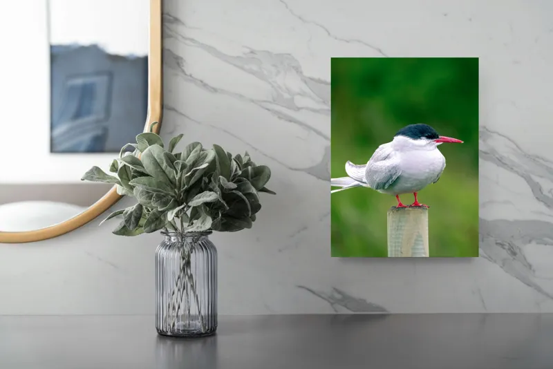 Tablou Canvas, "Pescărușul pe stâlp în natură verde", Pasăre, Eleganță, Penaj, Natură, Libertate, Serenitate, 26 x 39 cm – poza 4
