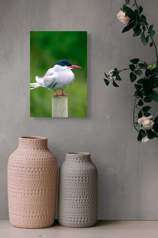 Tablou Canvas, "Pescărușul pe stâlp în natură verde", Pasăre, Eleganță, Penaj, Natură, Libertate, Serenitate, 26 x 39 cm – poza 6