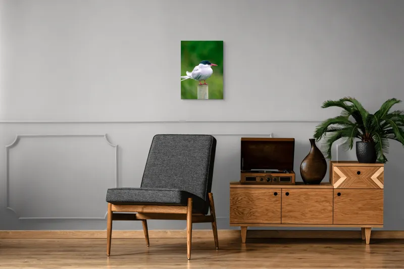 Tablou Canvas, "Pescărușul pe stâlp în natură verde", Pasăre, Eleganță, Penaj, Natură, Libertate, Serenitate, 39 x 54 cm – poza 8