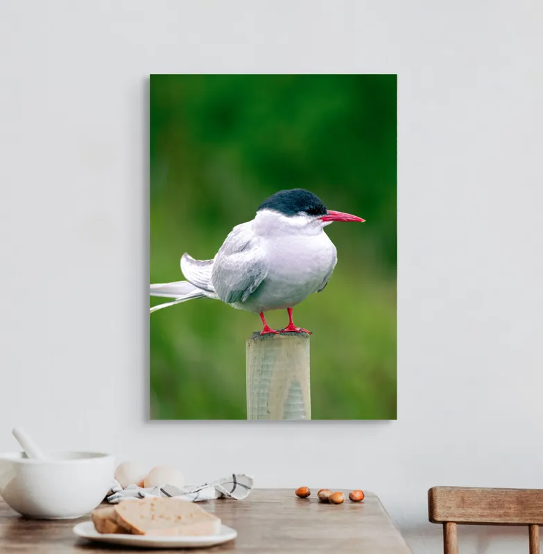 Tablou Canvas, "Pescărușul pe stâlp în natură verde", Pasăre, Eleganță, Penaj, Natură, Libertate, Serenitate, 50 x 70 cm – poza 3
