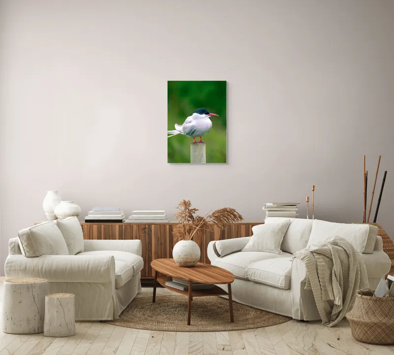 Tablou Canvas, "Pescărușul pe stâlp în natură verde", Pasăre, Eleganță, Penaj, Natură, Libertate, Serenitate, 50 x 70 cm – poza 4