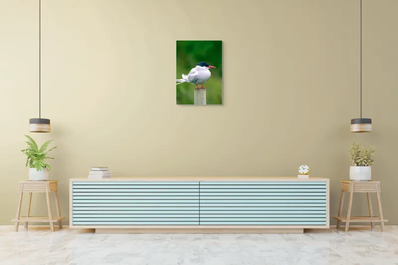 Tablou Canvas, "Pescărușul pe stâlp în natură verde", Pasăre, Eleganță, Penaj, Natură, Libertate, Serenitate, 50 x 70 cm – poza 6