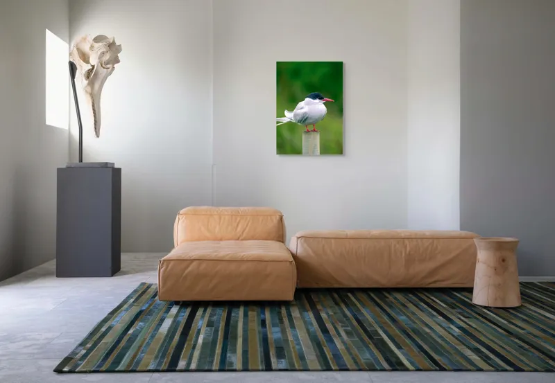 Tablou Canvas, "Pescărușul pe stâlp în natură verde", Pasăre, Eleganță, Penaj, Natură, Libertate, Serenitate, 50 x 70 cm – poza 7