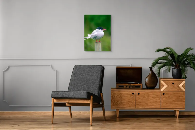 Tablou Canvas, "Pescărușul pe stâlp în natură verde", Pasăre, Eleganță, Penaj, Natură, Libertate, Serenitate, 50 x 70 cm – poza 8
