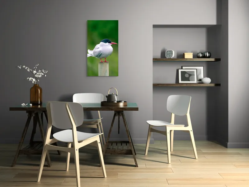 Tablou Canvas, "Pescărușul pe stâlp în natură verde", Pasăre, Eleganță, Penaj, Natură, Libertate, Serenitate, 50 x 90 cm – poza 4
