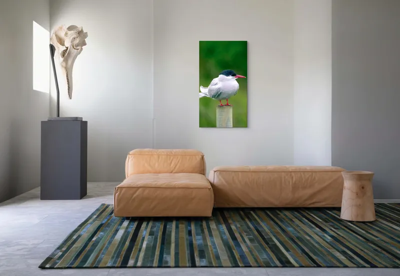 Tablou Canvas, "Pescărușul pe stâlp în natură verde", Pasăre, Eleganță, Penaj, Natură, Libertate, Serenitate, 50 x 90 cm – poza 5