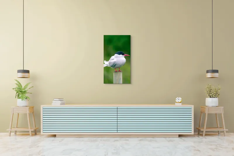 Tablou Canvas, "Pescărușul pe stâlp în natură verde", Pasăre, Eleganță, Penaj, Natură, Libertate, Serenitate, 50 x 90 cm – poza 6