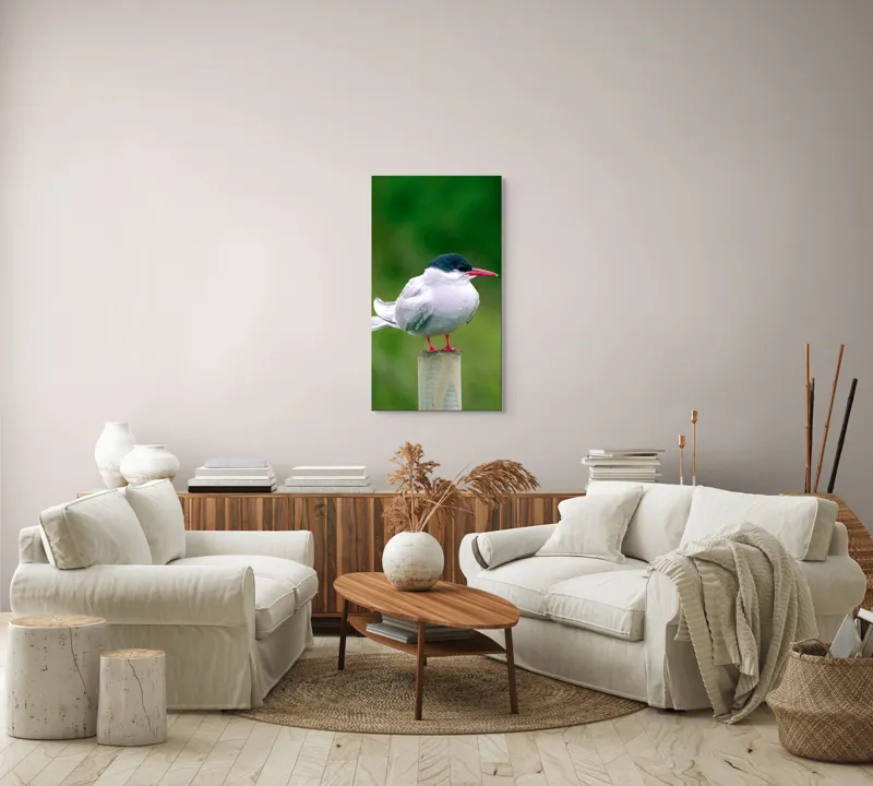 Tablou Canvas, "Pescărușul pe stâlp în natură verde", Pasăre, Eleganță, Penaj, Natură, Libertate, Serenitate, 50 x 90 cm – poza 7