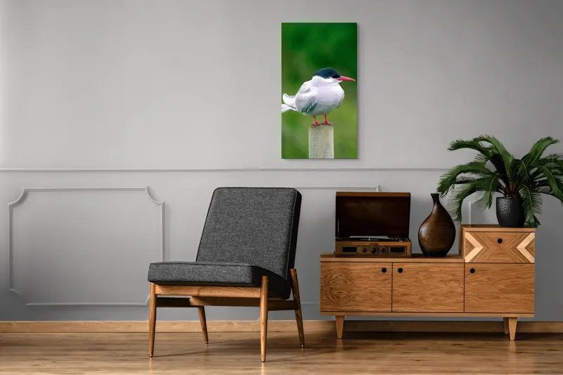 Tablou Canvas, "Pescărușul pe stâlp în natură verde", Pasăre, Eleganță, Penaj, Natură, Libertate, Serenitate, 50 x 90 cm – poza 8