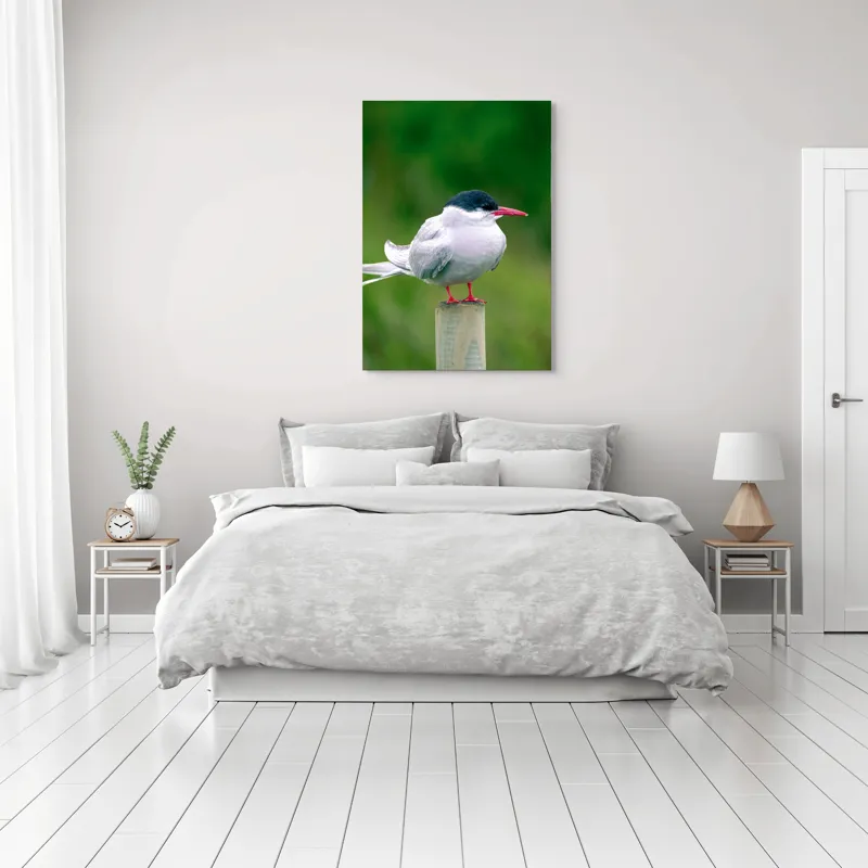 Tablou Canvas, "Pescărușul pe stâlp în natură verde", Pasăre, Eleganță, Penaj, Natură, Libertate, Serenitate, 70 x 100 cm – poza 3