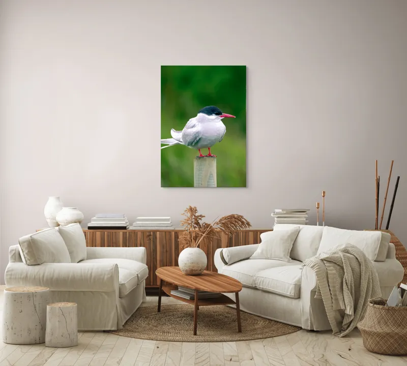 Tablou Canvas, "Pescărușul pe stâlp în natură verde", Pasăre, Eleganță, Penaj, Natură, Libertate, Serenitate, 70 x 100 cm – poza 4