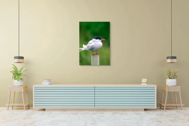 Tablou Canvas, "Pescărușul pe stâlp în natură verde", Pasăre, Eleganță, Penaj, Natură, Libertate, Serenitate, 70 x 100 cm – poza 5