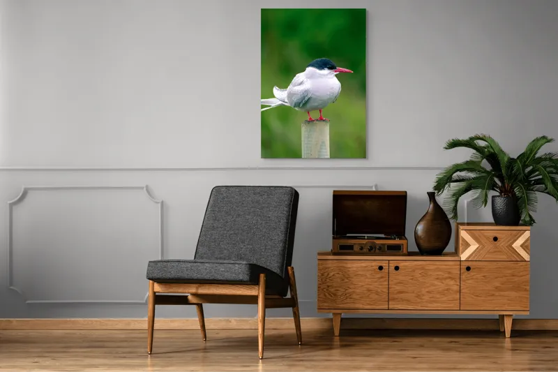 Tablou Canvas, "Pescărușul pe stâlp în natură verde", Pasăre, Eleganță, Penaj, Natură, Libertate, Serenitate, 70 x 100 cm – poza 6