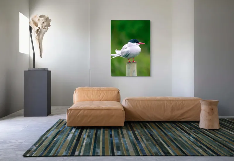 Tablou Canvas, "Pescărușul pe stâlp în natură verde", Pasăre, Eleganță, Penaj, Natură, Libertate, Serenitate, 70 x 100 cm – poza 7