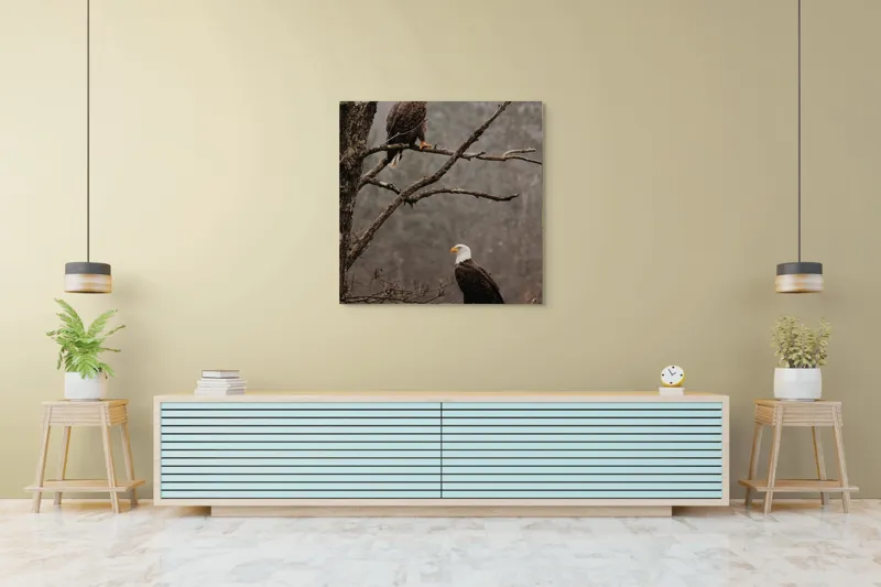 Tablou Canvas, "Vulturi semeți pe ramura uscată", Acvilă, Ramură, Copac, Natură, Cer, Pădure, Frunze, Frig, Vânt, Penaj, 100 x 100 cm – poza 5