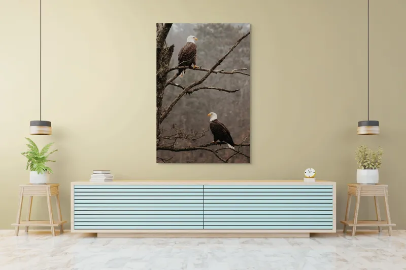 Tablou Canvas, "Vulturi semeți pe ramura uscată", Acvilă, Ramură, Copac, Natură, Cer, Pădure, Frunze, Frig, Vânt, Penaj, 100 x 150 cm – poza 4