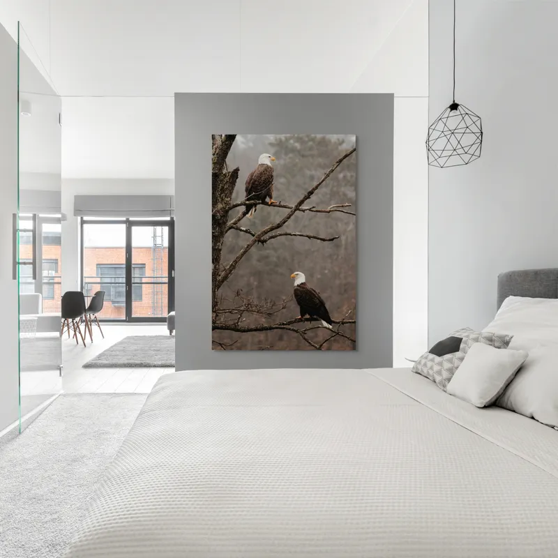 Tablou Canvas, "Vulturi semeți pe ramura uscată", Acvilă, Ramură, Copac, Natură, Cer, Pădure, Frunze, Frig, Vânt, Penaj, 100 x 150 cm – poza 5