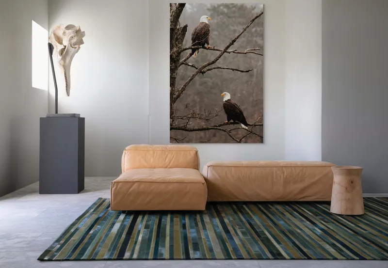 Tablou Canvas, "Vulturi semeți pe ramura uscată", Acvilă, Ramură, Copac, Natură, Cer, Pădure, Frunze, Frig, Vânt, Penaj, 100 x 150 cm – poza 7