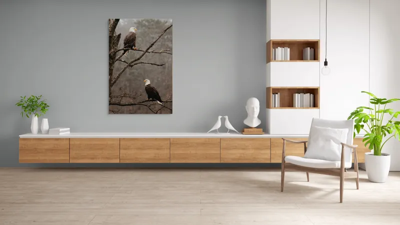 Tablou Canvas, "Vulturi semeți pe ramura uscată", Acvilă, Ramură, Copac, Natură, Cer, Pădure, Frunze, Frig, Vânt, Penaj, 100 x 150 cm – poza 8