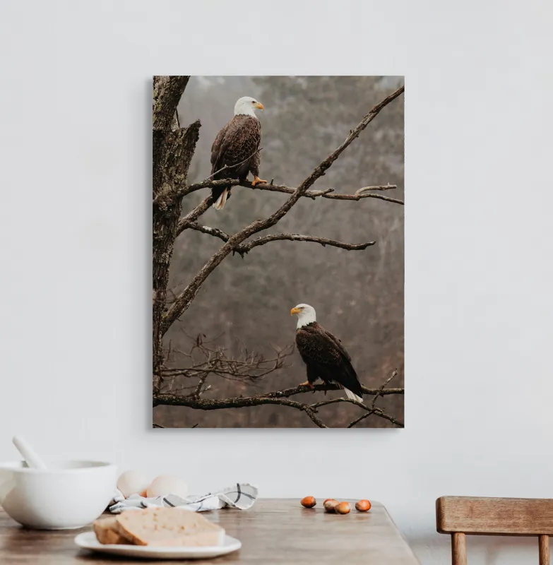 Tablou Canvas, "Vulturi semeți pe ramura uscată", Acvilă, Ramură, Copac, Natură, Cer, Pădure, Frunze, Frig, Vânt, Penaj, 50 x 70 cm – poza 3