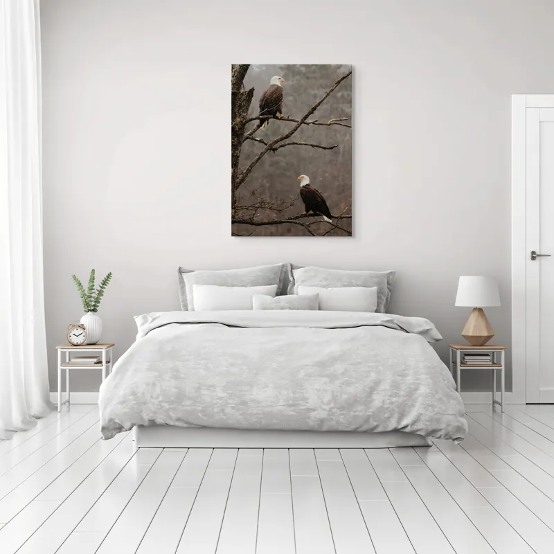 Tablou Canvas, "Vulturi semeți pe ramura uscată", Acvilă, Ramură, Copac, Natură, Cer, Pădure, Frunze, Frig, Vânt, Penaj, 70 x 100 cm – poza 3