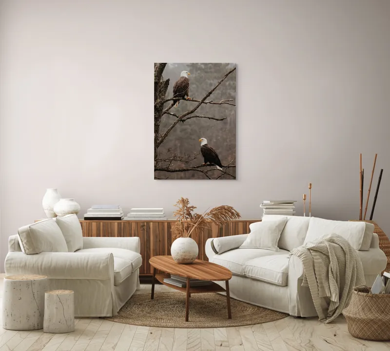 Tablou Canvas, "Vulturi semeți pe ramura uscată", Acvilă, Ramură, Copac, Natură, Cer, Pădure, Frunze, Frig, Vânt, Penaj, 70 x 100 cm – poza 4