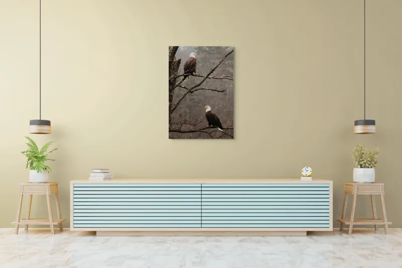 Tablou Canvas, "Vulturi semeți pe ramura uscată", Acvilă, Ramură, Copac, Natură, Cer, Pădure, Frunze, Frig, Vânt, Penaj, 70 x 100 cm – poza 5